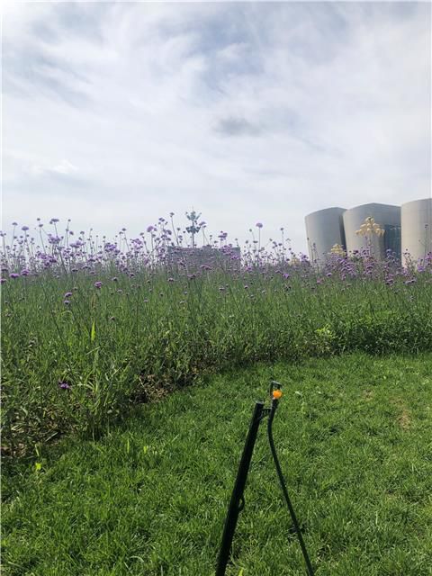 通知你一个你不知路的鄂尔多斯——“鬼城”早已是幼康城