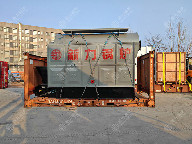 什么是DZL生物质锅炉？一篇文章读懂其分类与职能